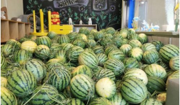 阜阳吃瓜最新事件爆料,揭秘背后惊人真相