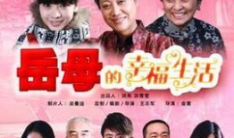 电视剧岳母的幸福生活,温馨家庭喜剧的温馨篇章