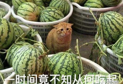 有什么爆料吃瓜的群吗,揭秘那些神秘的吃瓜爆料群