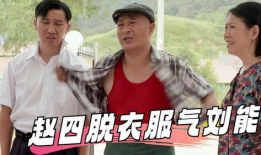 农村爱情电视剧大全,温馨田园，情感交织